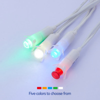 Ampoules indicatrices néon compactes en couleurs bleu clair vert ambre rouge pour les applications d'automatisation à faible puissance en plastique