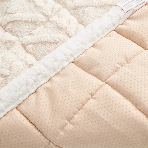 Manta de Cama de Terciopelo de Algodón Suave Estilo Crema, Seleccionada con Cuidado, Alfombra de Felpa Gruesa para Invierno, Antideslizante, Lavable a Máquina - Product Image 3