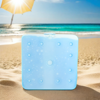 Bloc réfrigérant en matériau à changement de phase PCM -25°C, isolé avec du matériau PE durable pour les camions de crème glacée