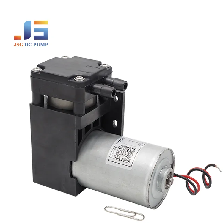 48W 12V 40l Kleine Borstel Dc Motor Draagbare Vacuümpompen Mini Luchtpomp Voor Melkmachine