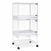 Vente en gros directe d'usine, cage à oiseaux d'extérieur de qualité supérieure personnalisée en métal avec structure en fil d'acier pour perroquets et petits oiseaux
