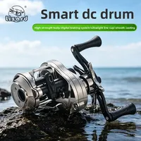 Moulinet de pêche Lizard DEMON DC Gun-Smoke Color Nylon Baitcasting avec frein électronique, anti-recul, léger, pour gaucher