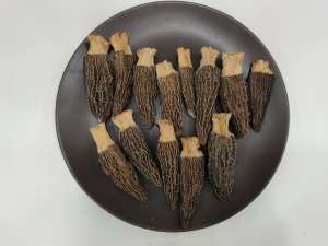 Fornecimento de fábrica de cogumelos pretos crus de morel selvagem, cogumelos secos de morel, cogumelos secos com preço - Product Image 4