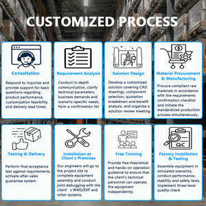 Equipo Inteligente de Alta Eficiencia para la Separación de Paquetes en Líneas Transportadoras - Product Image 4