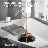 Robinet de cuisine et salle de bain moderne classique à poignée unique en céramique, avec douchette extractible et fonction de dosage, finition brossée en acier inoxydable pour montage sur plan.