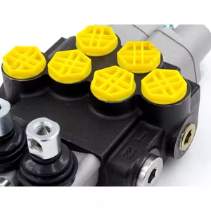วาล์วควบคุมทิศทางไฮดรอลิก P40-G12-2OT สำหรับเครื่องจักรก่อสร้าง เกษตรกรรม และอุตสาหกรรม |   มืออาชีพ - Product Image 5