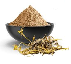 Extrait de Jivanti Leptadenia en poudre de qualité supérieure, qualité alimentaire, extrait végétal naturel pour boissons et recettes fonctionnelles - Product Image 2
