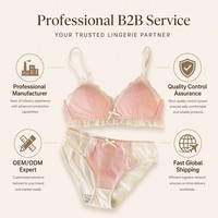 Set Bra Tanpa Kawat Berenda untuk Wanita, Push Up untuk Payudara Kecil, Minimizer untuk Payudara Besar, Tipis, Manis, Imut, Set Lingerie Pembentuk Tubuh