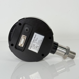 Comparateur numérique HSIN685 – Précision 0,02 % FS, en acier inoxydable, avec fonction de réinitialisation à zéro – Instrument de test OEM HSIN685 - Product Image 2