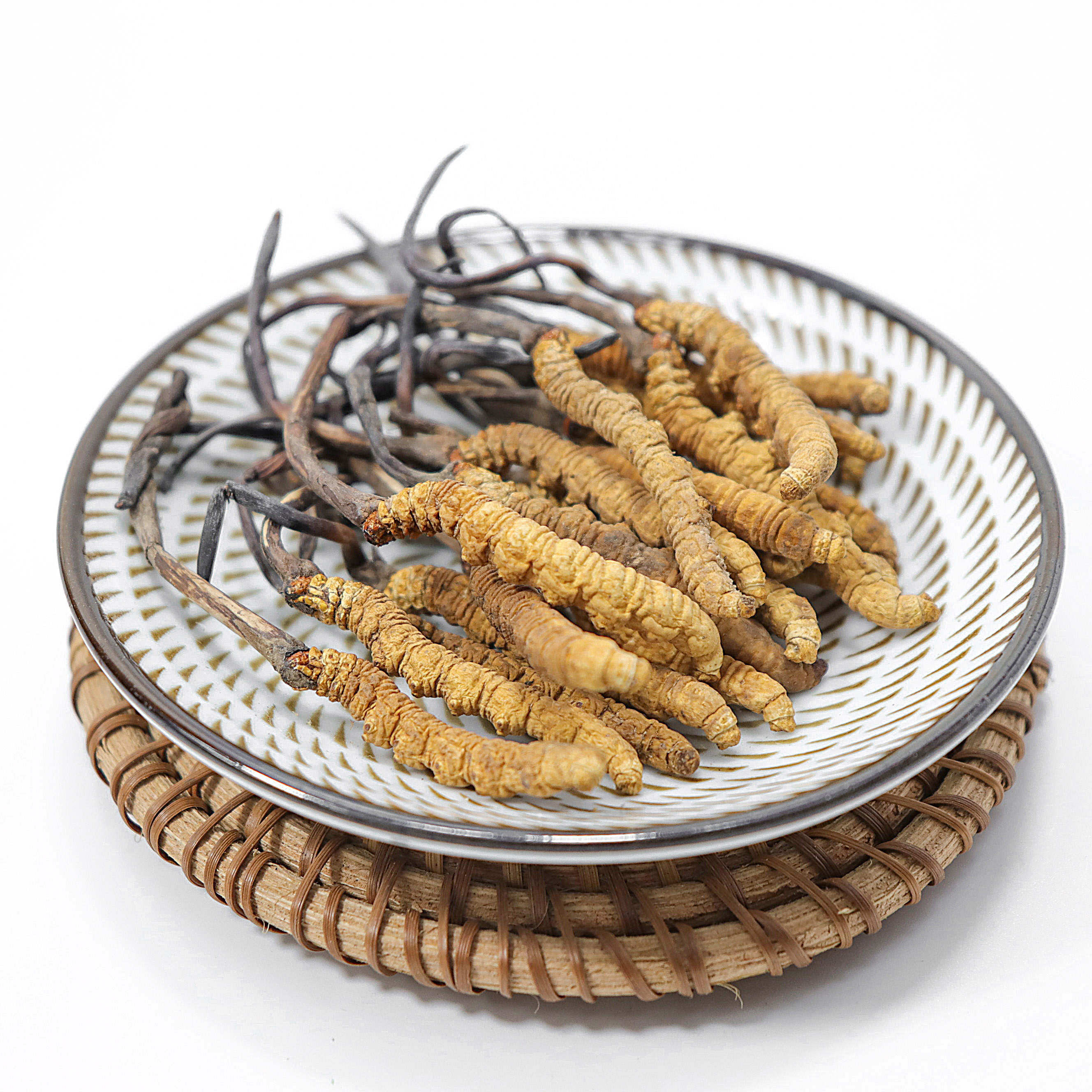 High Quality Natural Tibet Chinese Medicinal Plant Cordyceps Sinensis Tiens Cordyceps Fungus