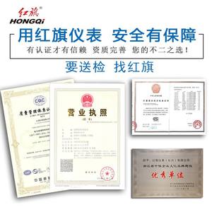 Termómetro de Contacto Eléctrico HONGQI WTQ-288 con Sonda de 500 mm de Acero Inoxidable y Alarma de Alta Temperatura - Product Image 4