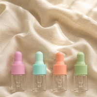 Flacons compte-gouttes en verre vides pour sérum avec bouchons colorés – Flacons compte-gouttes transparents pour emballage cosmétique et soins de la peau – Vente en gros