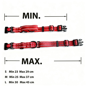 Collare da addestramento per cani OEM su misura, a controllo delicato e anti-soffocamento, con chiusura intelligente a doppio anello per Terrier di taglia piccola e media - Product Image 3
