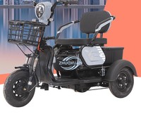 Quadricycle électrique confortable pour adultes, carrosserie ouverte, utilisation cargo, 2 passagers, trajets courts, vélo électrique