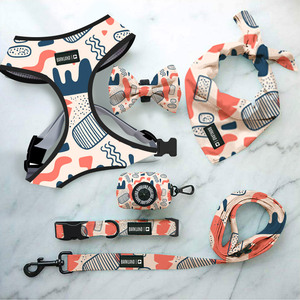 Ensemble de 6 Pièces OEM : Collier Tactique Réglable, Harnais Réversible Personnalisé pour Chien, Gilet Doux Anti-Traction de Designer - Product Image 4