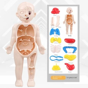 Modelo <span class=keywords><strong>de</strong></span> Estructura <span class=keywords><strong>de</strong></span> Órganos Humanos para Niños, Plástico, DIY, Desmontaje y Montaje <span class=keywords><strong>de</strong></span> Órganos Viscerales, Juguete Educativo para la Primera Infancia - Product Image 1