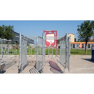 Precio de fábrica Jaula de gestación de cerdos embarazadas Jaula para cerdas - Product Image 5