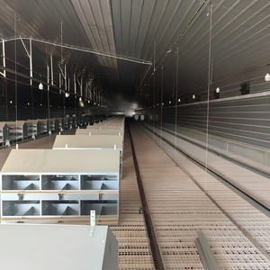 Sistema di Alimentazione Automatico a Catena per Polli, Galline <span class=keywords><strong>e</strong></span> Pollame da Allevamento - Product Image 2