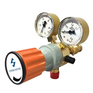 Cilindro de gas de entrada trasera de propano LPG, resorte de etapa única ajustable, regulador de presión de gas del capó de latón