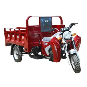 Sepeda motor tiga roda kargo 300cc untuk dewasa dengan kabin terbuka bermotor