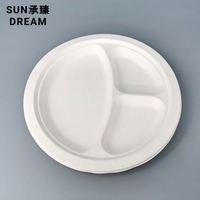 Vaisselle biodégradable de 9,6 pouces, vaisselle jetable, vaisselle jetable, assiette en bagasse à 3 compartiments