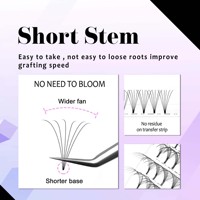 Cils en éventail pré-faits en volume, ultra noirs, 3D, 4D, 5D, 6D, 8D, 0,07, 8D, 10D, 0,07, tige courte, marque privée, extensions de cils