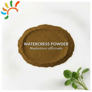 Polvo de Watercress Suministrado por Fábrica |   Extracto de <span class=keywords><strong>Nasturtium</strong></span> <span class=keywords><strong>Officinale</strong></span> en Polvo a Granel - Product Image 1