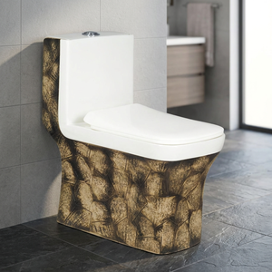 Inodoro de Diseño CUPC para Baño, Estilo Norteamericano, Taza de Cerámica Personalizada, Descarga Sifónica, Inodoro de Una Pieza con Tanque Oculto para Lavabo - Product Image 1