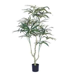 สัมผัสเหมือนจริงสูง180ซม. dizygotheca elegantissima ต้นไม้สำหรับตกแต่งห้อง<span class=keywords><strong>วาด</strong></span>รูปต้น<span class=keywords><strong>ไม้</strong></span>ปลอมผ้าคุณภาพสูง dizygotheca - Product Image 3