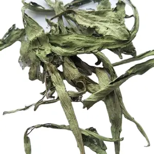 Tian Ye Ju Wholesale Prices Organic Chinese Herb Dried Stevia Rebaudiana Leaf Tea Pure Stevia Leaves Tea