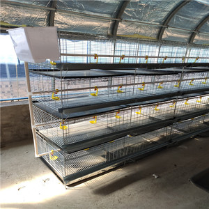 חומוס עוף כלוב - Product Image 1