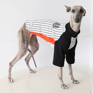 Chaleco <span class=keywords><strong>de</strong></span> Algodón Retro <span class=keywords><strong>de</strong></span> Béisbol Petstyle para Galgo Italiano, Ropa <span class=keywords><strong>de</strong></span> Verano para <span class=keywords><strong>Mascotas</strong></span>, Venta Transfronteriza - Product Image 4