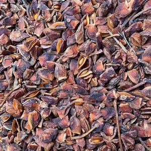 Anis étoilé concassé en vrac : Épices et herbes économiques pour la production de bases de soupes et de marinades, vente en gros pour la restauration - Product Image 2