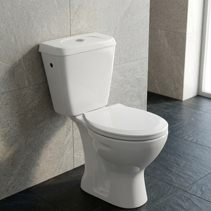 Inodoro de cerámica europeo de dos piezas con sifón en P y descarga dual, conjunto de baño con tanque acoplado - Product Image 1