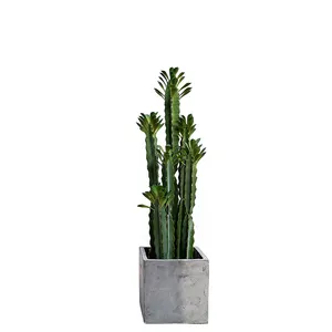 高度200厘米新设计人造假肉质植物绿色大仙人掌植物逼真室外室内装饰