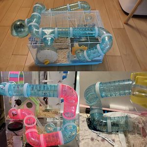 Diy Diverse Duurzame Huisdier Speelgoed Luxe Hamster Tube <span class=keywords><strong>Tunnel</strong></span> Voor Muis Hamster Of Andere Kleine Dieren Te Oefenen En Te Spelen - Product Image 4