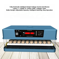 USMILEPET Incubateur d'oeufs pour animaux de compagnie Elevage d'animaux domestiques et soins des animaux Incubateurs automatiques de poulet pour œufs à couver Incubateur à usage domestique