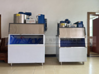Machine à glace en flocon pour poisson 500kg par jour Machine à glaçons en flocon