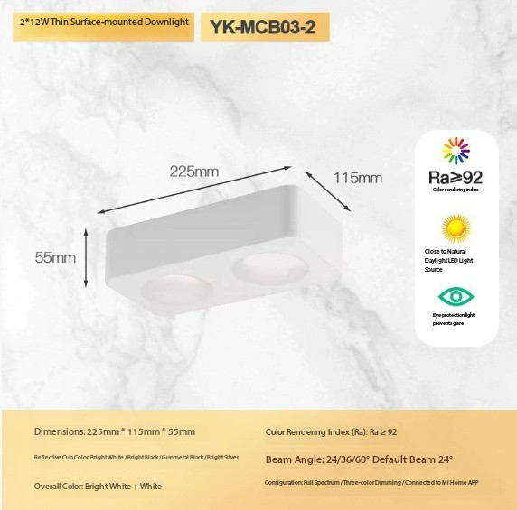 Double head 24W (all white version)