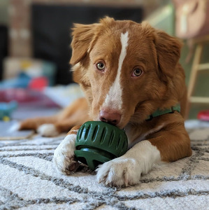 Fabricante personalizado perro interactivo lamer Bola de juguete alimentador lento masticar silicona tratar dispensador de goma duradera juguete para mascotas - Product Image 1