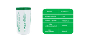 Batterie au lithium primaire Li-SOCL2 FORTE ER34615 3,6 V 19000 mAh pour compteurs d'électricité IoT et jouets, avec une durée de vie de 10 ans - Product Image 4