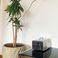 Générateur d'ozone HANSTAT de haute qualité 20G, machine à ozone domestique, plaque en acier 304, mini stérilisateur d'ozone portable pour voiture, purificateur d'air