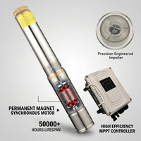 Pompe submersible solaire multi-étages sans balais à courant continu haute efficacité en acier inoxydable 3 pouces 24V 300W 0,5 CV pour forage au Ghana