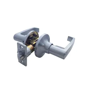 Tubular Lever Lockset with Key Door Lever Handle Lock Door Knob Hardware Lever for Entrance Privacy Passage Function