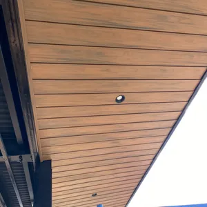 Anti-uv waterproof exterior ceiling panel wood plastic composite wpc material