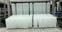 Machine à glace commerciale ZXSHARE 3 T à économie d'énergie de 3 tonnes pour fruits de mer avec service intensif