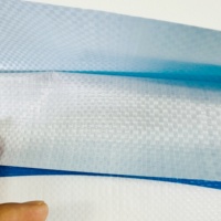 Sac tissé en PP de haute qualité de 25 kg, imprimé sur mesure, pour emballage chimique, directement de l'usine d'emballage chimique