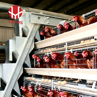 Cage d'élevage de poussins sur mesure avec cadre galvanisé pour grande poulailler, équipement de couvaison de poussins, fourniture directe d'usine