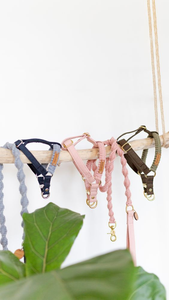 <span class=keywords><strong>2026</strong></span> 2025 Hochwertiges Makramee-Hundegeschirr-Set mit Schnellverschluss, Solides Muster, Hundeleine, Halsbänder und Führleine für Hunde - Product Image 6