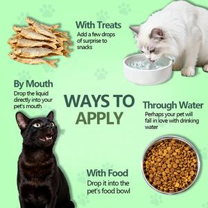 定制姜黄素滴剂 猫狗用 免疫力增强 健康系统平衡补充剂 宠物姜黄素液体 - Product Image 4